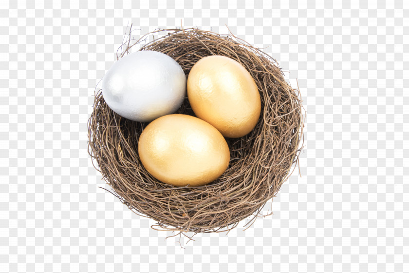Nest Egg Bird PNG