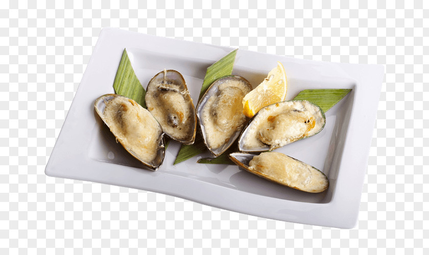 Pizza Mussel Clam Oyster Bolognese Sauce PNG
