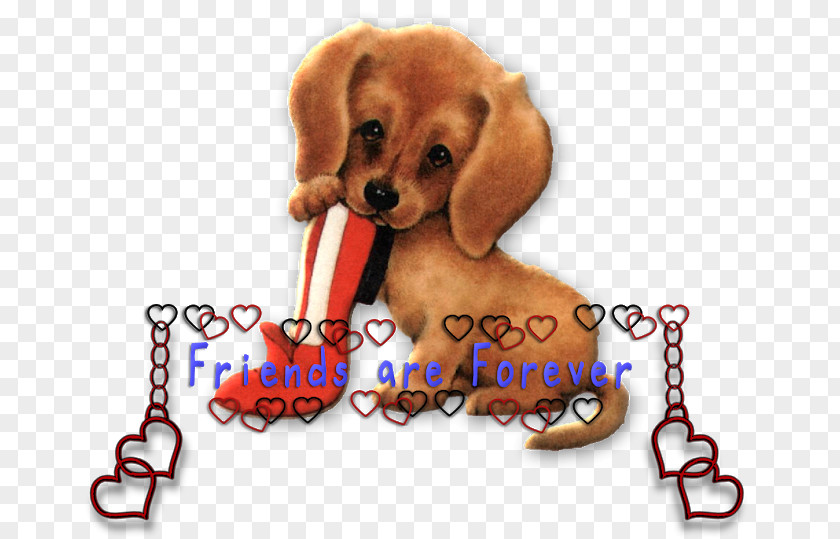 Puppy Beagle Animaatio Companion Dog Breed PNG