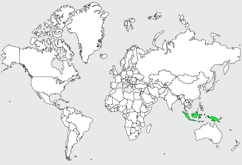 World Map Border GeoJSON PNG
