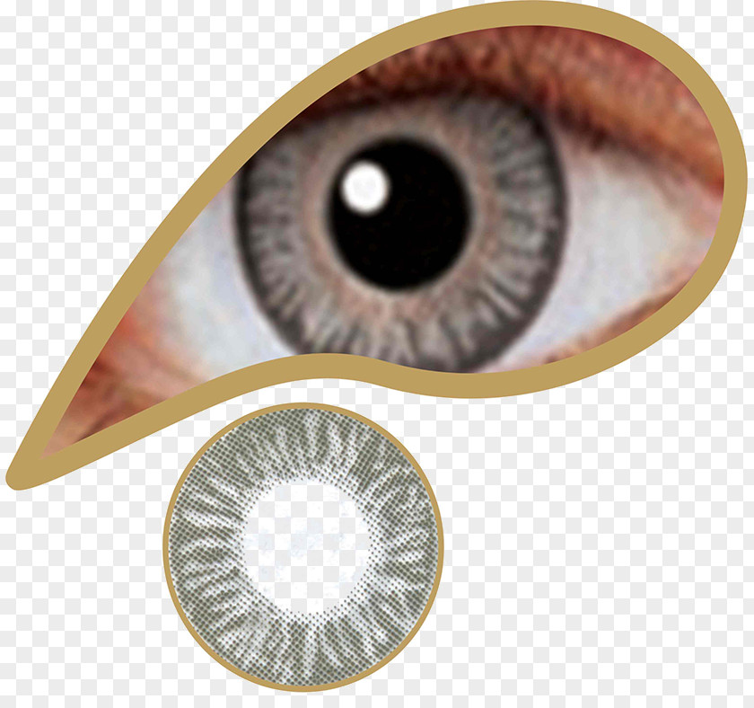 Eye Contact Lenses Green Color PNG