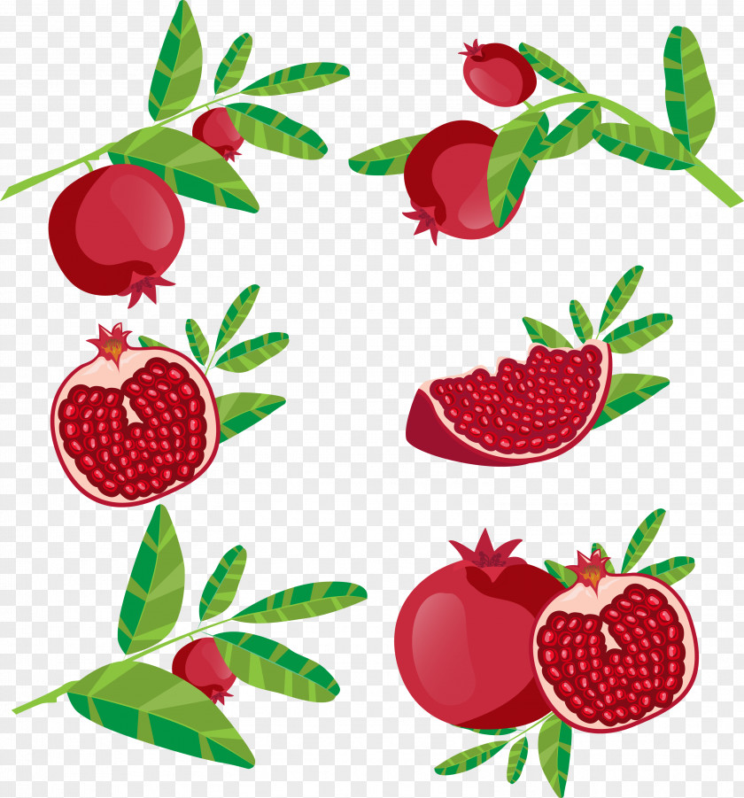Red Pomegranate Juice Fruit Icon PNG
