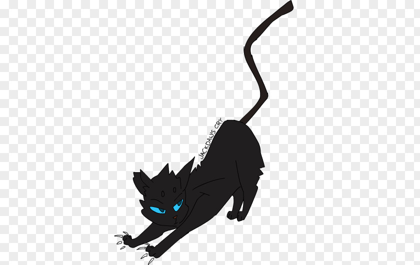 Rushing Water Black Cat Kitten Whiskers PNG