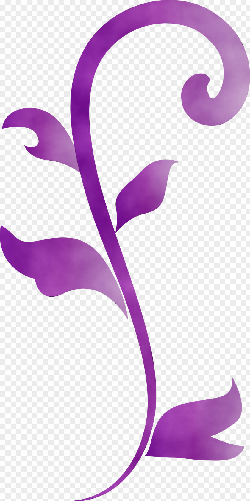 Violet Purple Lilac Magenta Plant PNG