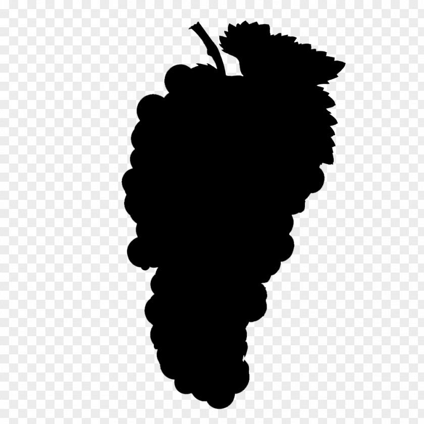 Vitis Logo Leaf Silhouette PNG