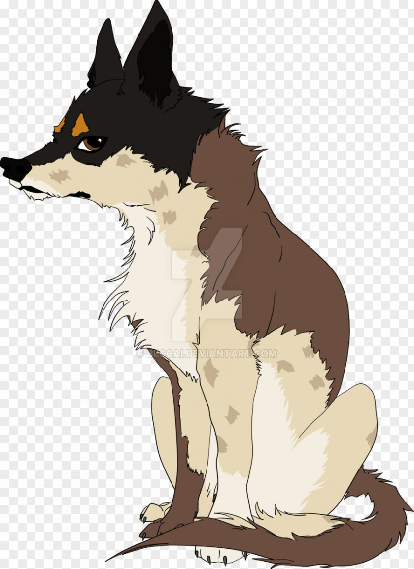Dog Breed Red Fox Whiskers Fur PNG