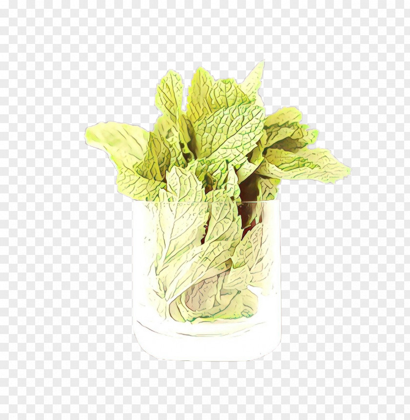 Flower Plant Leaf Romaine Lettuce Vegetable PNG