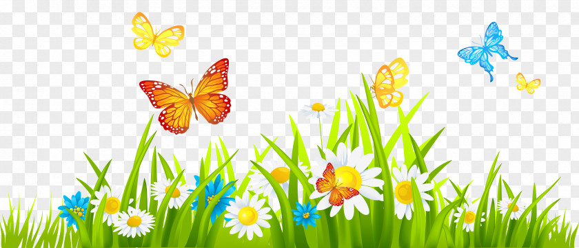 Grass Ground With Flowers And Butterflies Clipart Flower Clip Art PNG