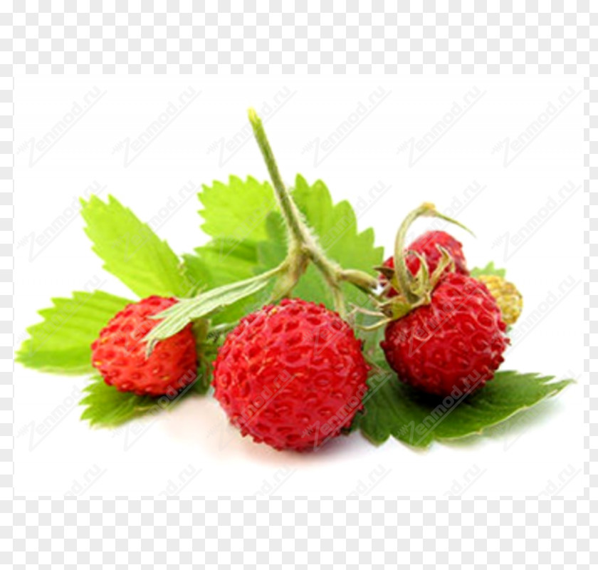 Strawberry Wild Varenye Musk PNG