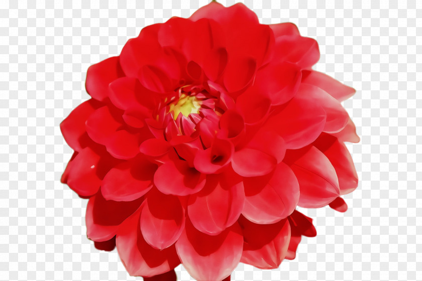 Artificial Flower Peony PNG