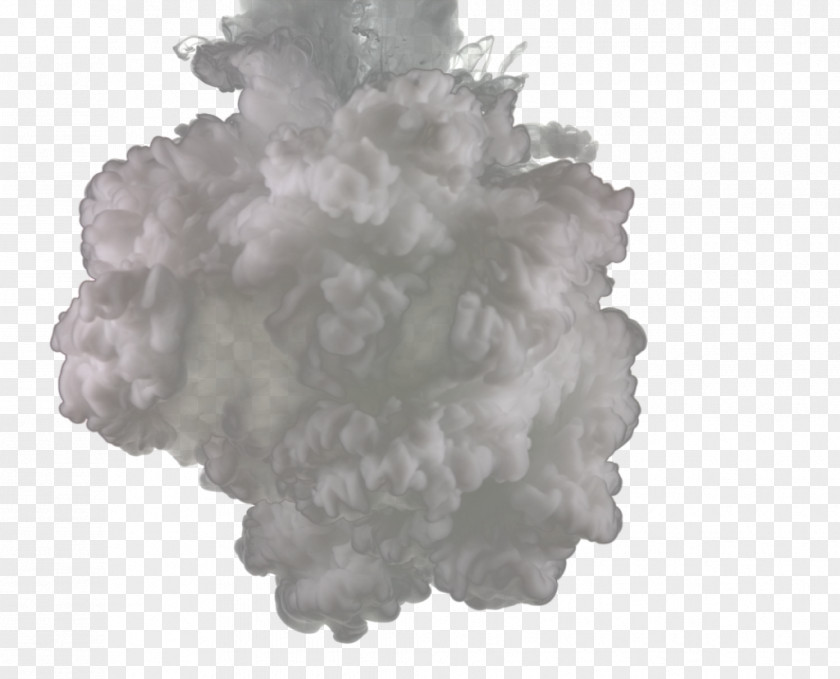Bbq Mushroom Cloud Haze White PNG
