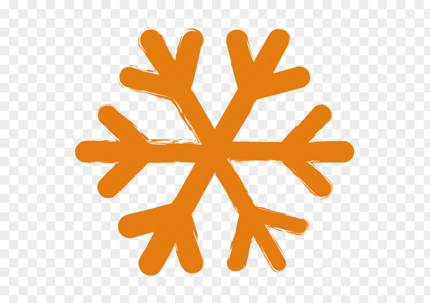 Freezedrying Snowflake PNG