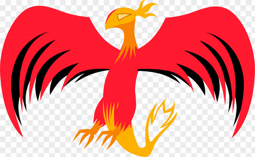 Phoenix Wing Rooster Beak Chicken As Food Clip Art PNG