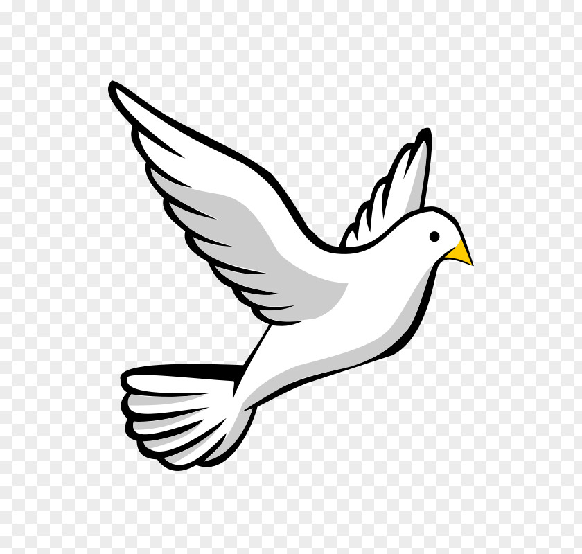Pigeon Columbidae Free Content Clip Art PNG