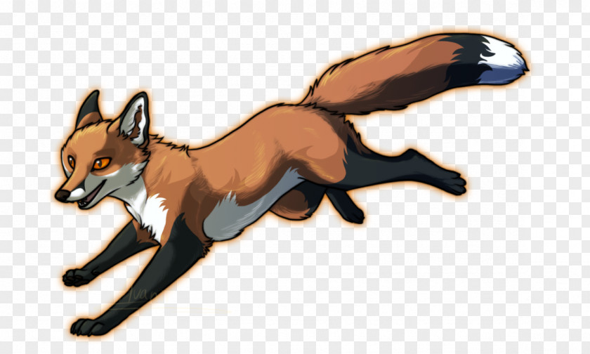 Red Fox Billystorm Harrykit Leafstar Gray Wolf PNG