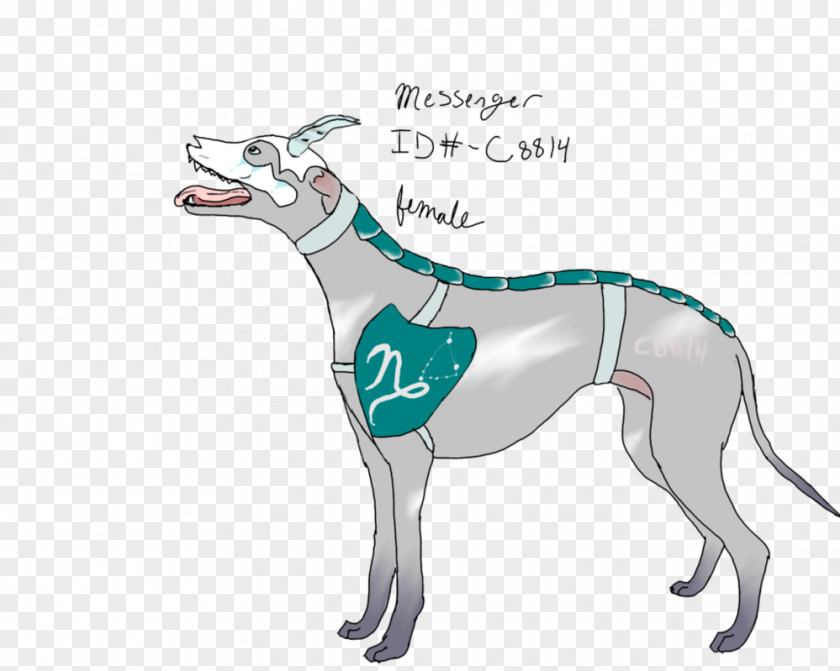 Vanity Url Whippet Italian Greyhound Spanish Sloughi PNG