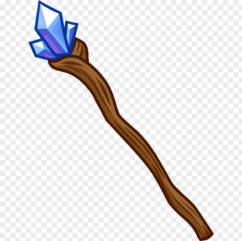 Wizard Club Penguin Wizard101 Staff Shaman PNG