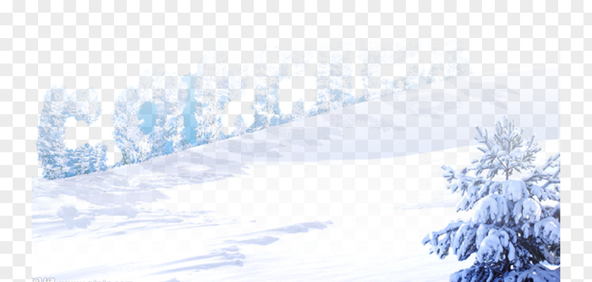 Creative Snow Christmas Snowflake Wallpaper PNG