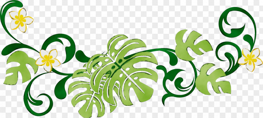 Floral Design PNG