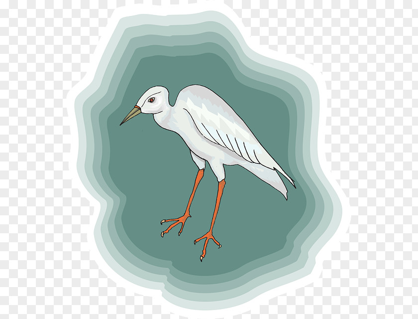 Long Legged Heron Bird White Stork Crane PNG