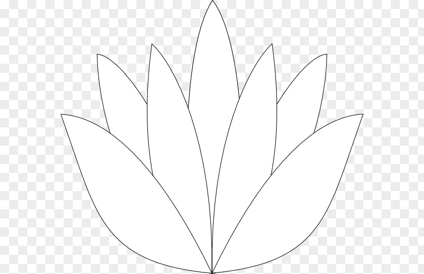 Lotus Leaf Drawing Monochrome /m/02csf PNG