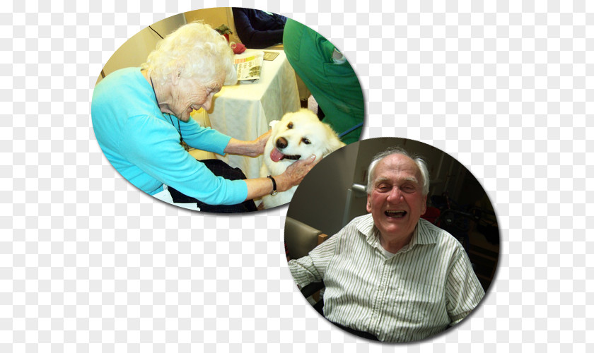 Nursing Home Care Residential Caring For People With Dementia Alzheimer's Disease PNG