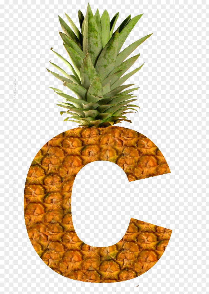 Pineapple Succade Smoothie Pizza PNG