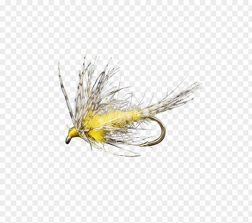 Soft Hackle Flies Artificial Fly Insect Wing PNG