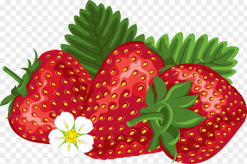 Strawberry PNG clipart PNG