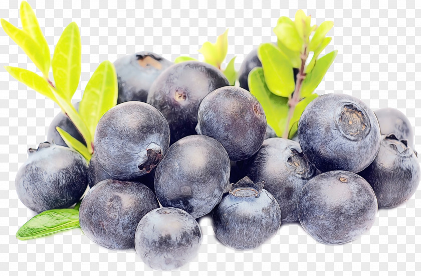 Superfruit European Plum Bilberry Blueberry Fruit Superfood Berry PNG