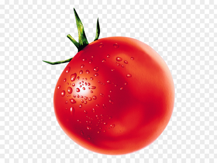 Vegetable Tomato Soup Juice Plum PNG