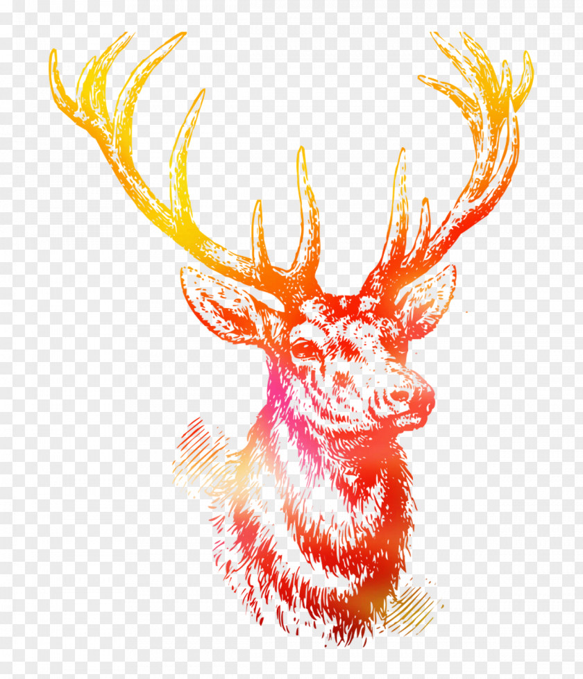 White-tailed Deer Reindeer Red Antler PNG