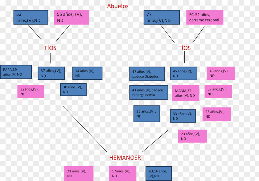 Arboles Area Brand Angle PNG