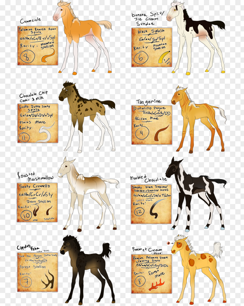 Dog Breed Horse PNG