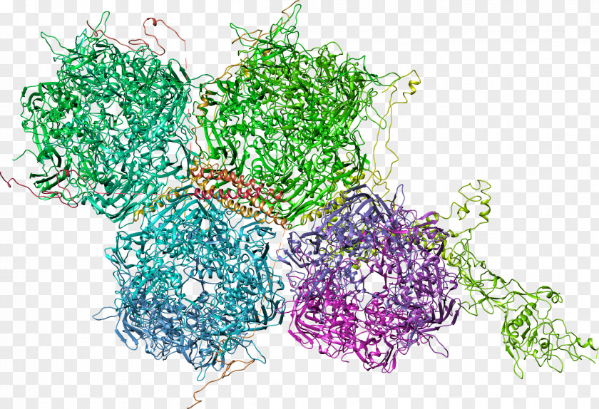 Electron Microscope Virus Floral Design Antibody Flower PNG