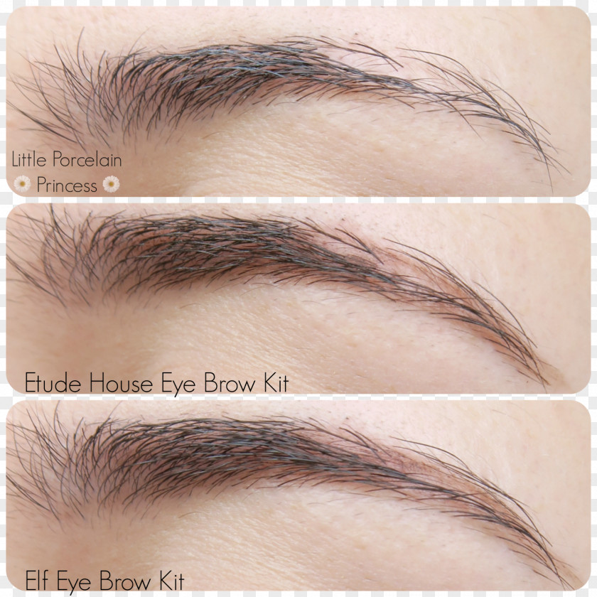 Eye Brow Eyebrow Cosmetics Shadow Eyelash PNG