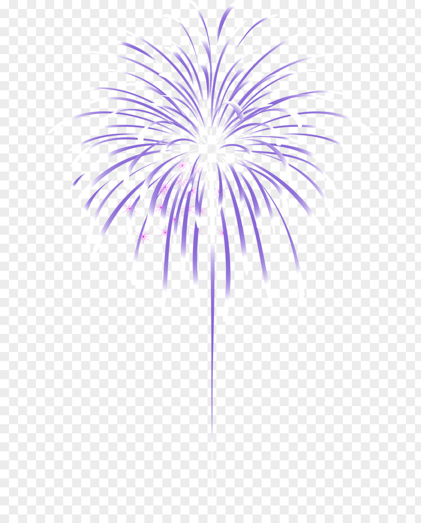 Festival Fireworks Cartoon Firecracker PNG