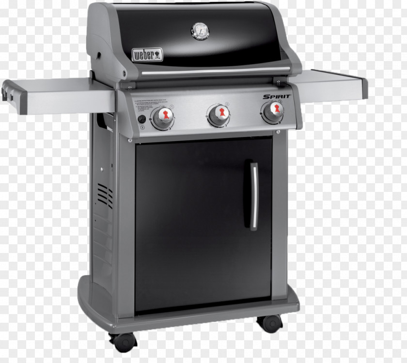 Grill Barbecue Weber-Stephen Products Propane Liquefied Petroleum Gas Natural PNG