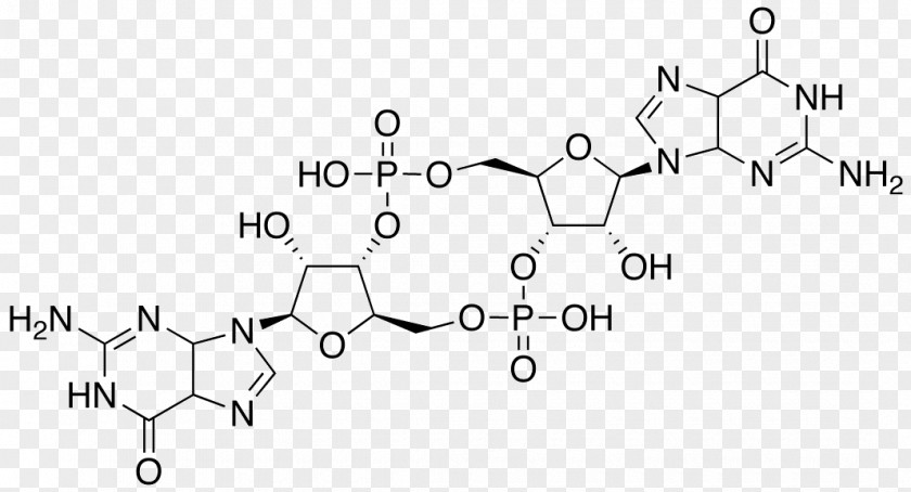 Guanosine Cyclic Di-GMP Monophosphate Diguanylate Cyclase Lamivudine PNG
