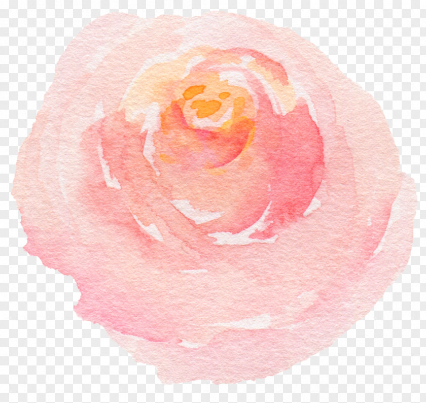 Hand-painted Watercolor Roses Beach Rose Painting PNG