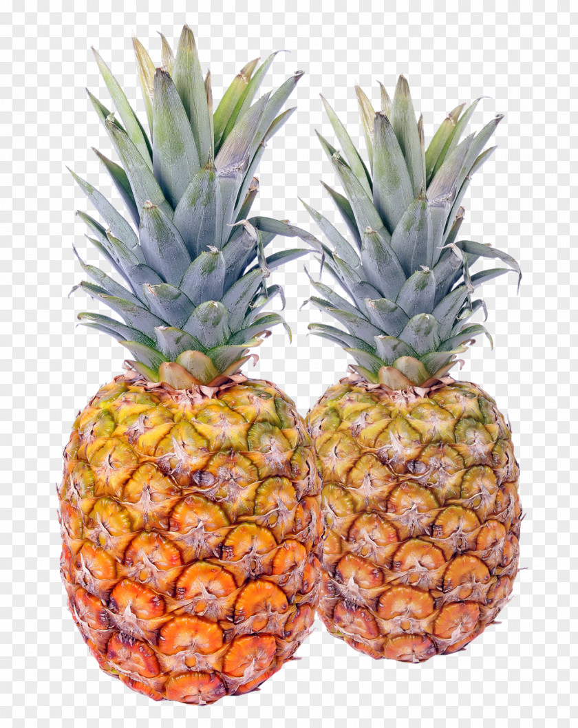 Pineapple Fruit PNG