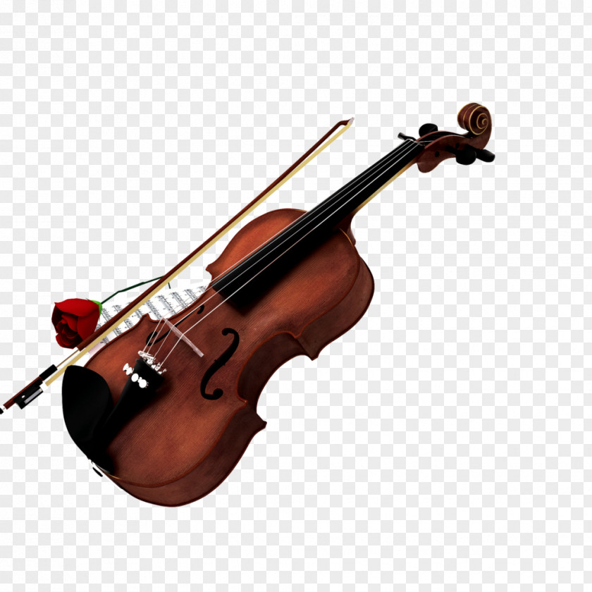 Violin Cello Double Bass Clip Art PNG