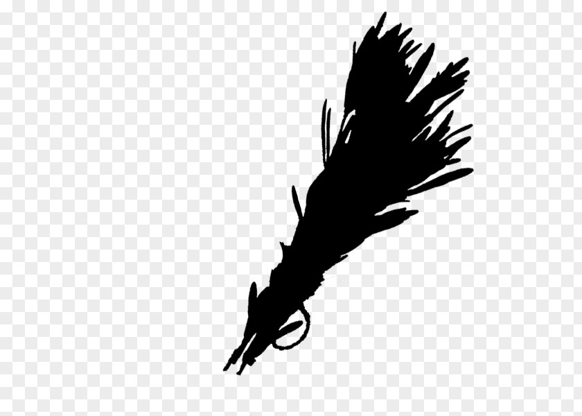 Bald Eagle Beak Feather Font Quill PNG