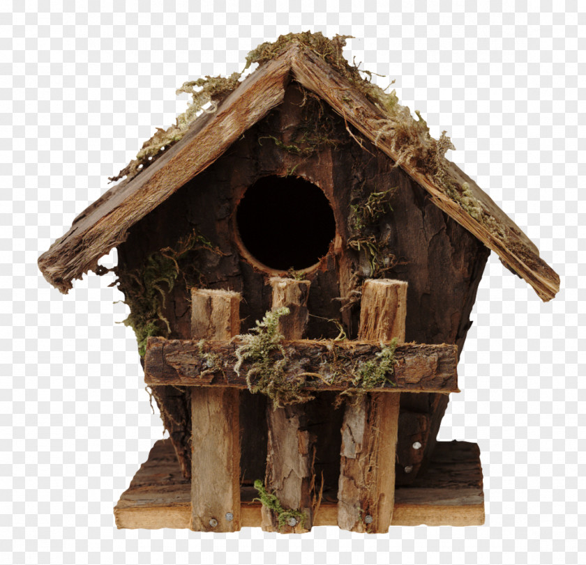 Bird Houses House Sparrow Feeders PNG