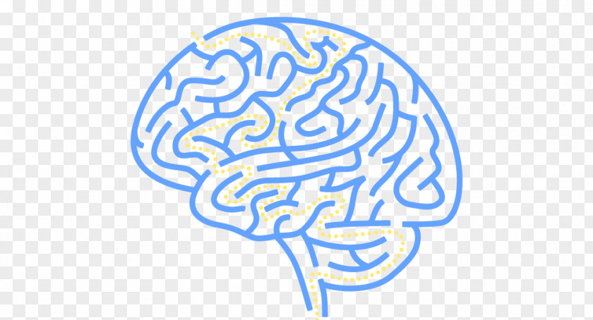 Brain Maze Getting Inside Your Head: What Cognitive Science Can Tell Us About Popular Culture American Foundation For Suicide Prevention Presents Out Of The Darkness Dallas Community Walk PNG