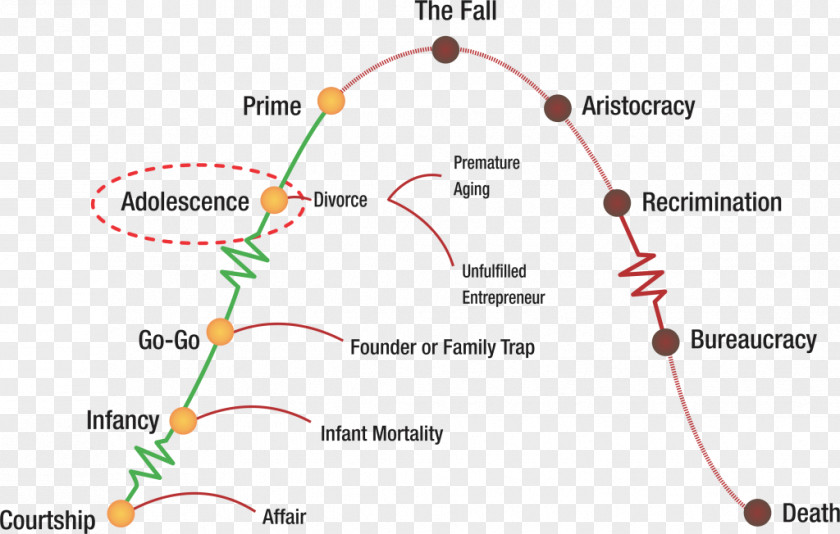 Business Corporate Life Cycles Organizational Cycle Biological Managing Lifecycles PNG