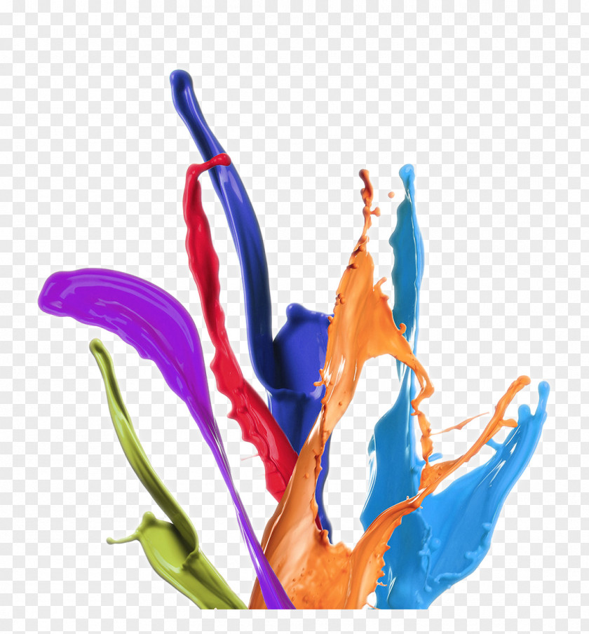 Colorful Paint Splashing Effect Color PNG