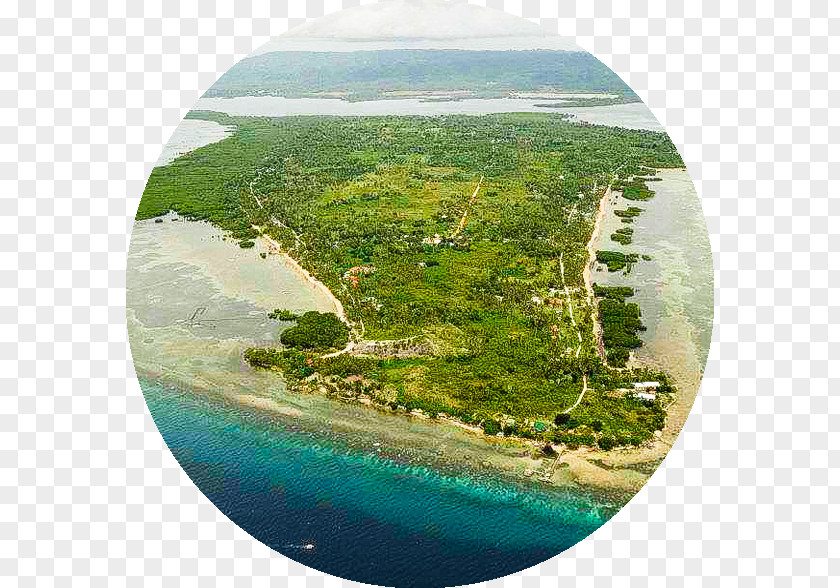 Island Isla Hayahay Beach Resort & Restaurant Archipelago PNG