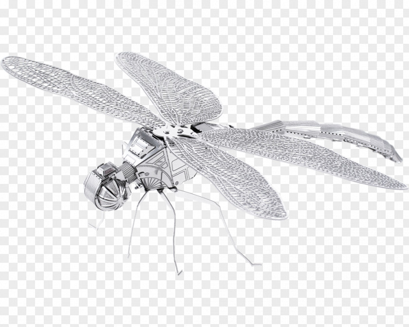 Dragonfly Model Kit Metal Earth Sheet Beetle PNG