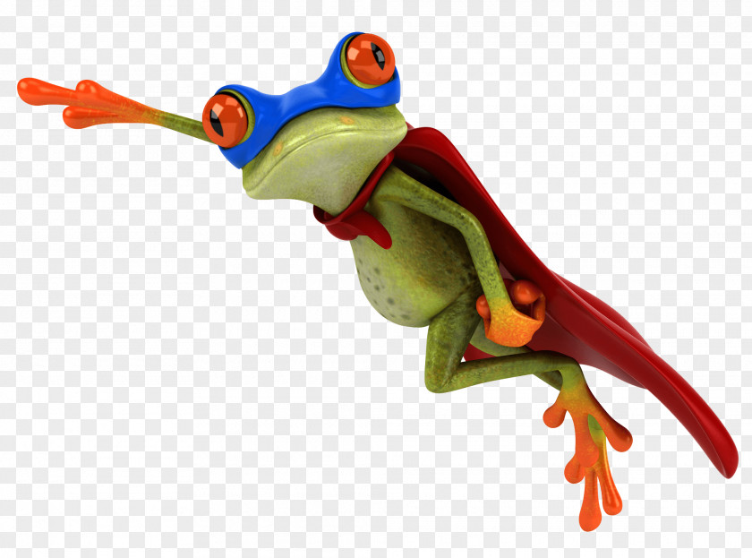 Frogs Royalty-free Stock Photography PNG